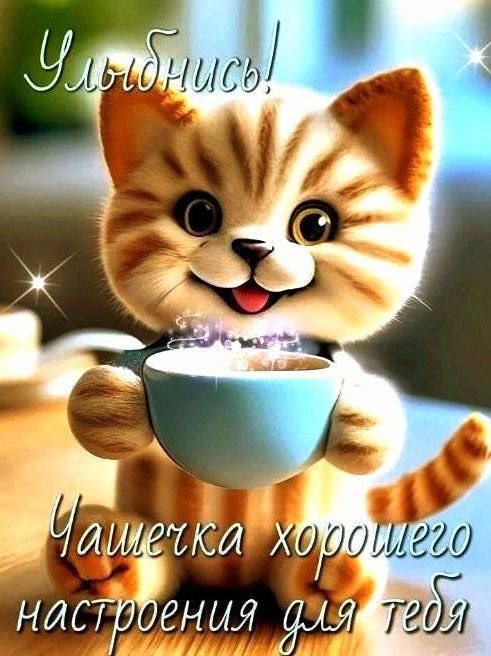доброе утро доброе утро