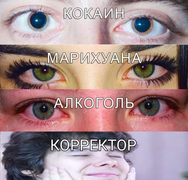 Винди 31 мем Винди 31 мем