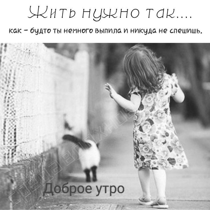 Про жизнь… Про жизнь…