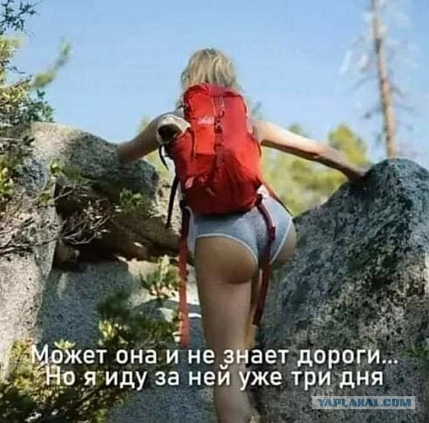 Немного картинок для настроения 20.10.20 – ЯПлакалъ Немного картинок для настроения 20.10.20 – ЯПлакалъ