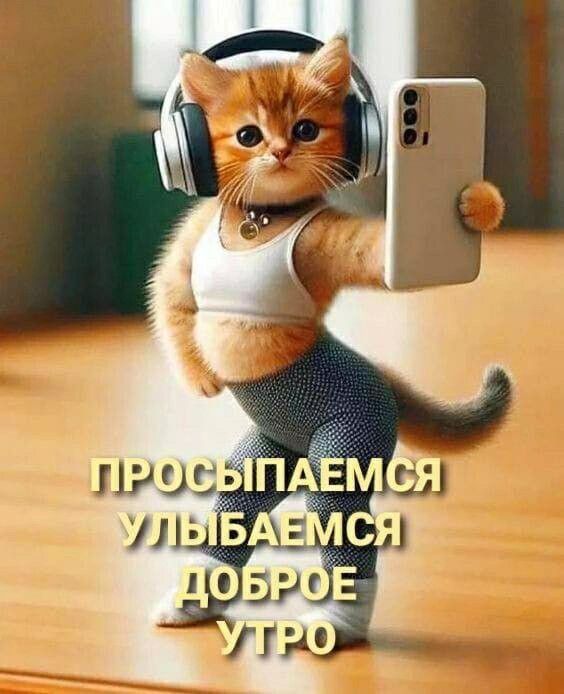 Доброе утро (Открытка 1743): Бесплатные картинки • Открытки Топ Доброе утро (Открытка 1743): Бесплатные картинки • Открытки Топ