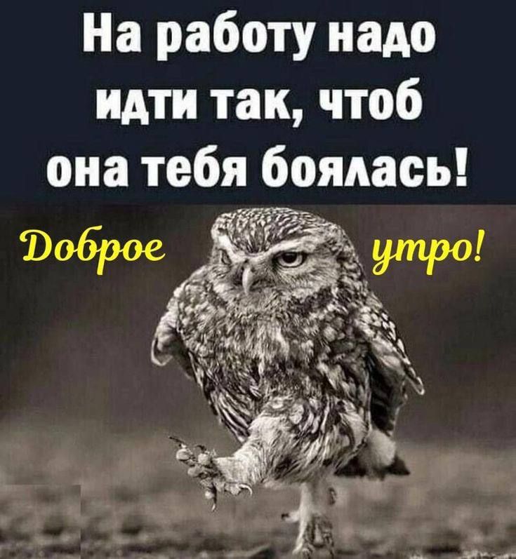 Открытки в телеграмме переходите Открытки в телеграмме переходите