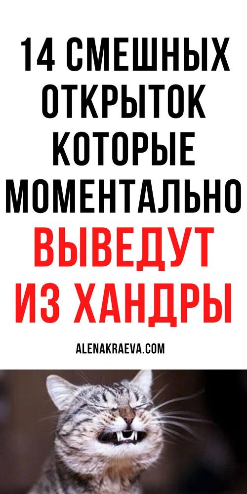 Очень смешные открытки для хорошего настроения | Дневник Счастье