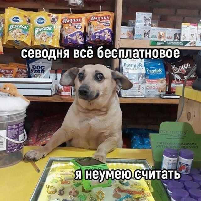 юмор, смешные картинки юмор, смешные картинки