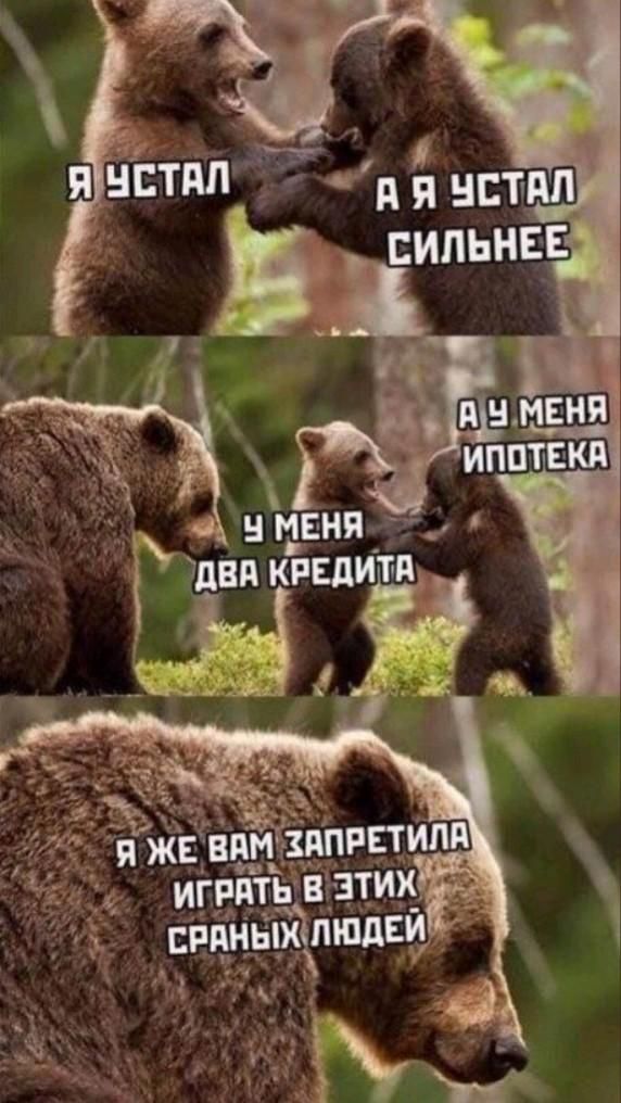 страные луди