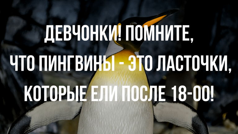 Анекдоты и шутки про диеты и похудение Анекдоты и шутки про диеты и похудение