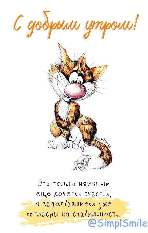 Смешные картинки, открытки, позитив Смешные картинки, открытки, позитив