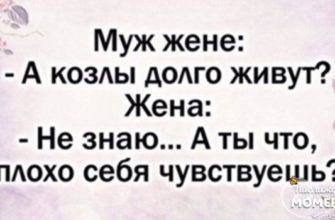 У каждого знака зодиака свой подход, когда наступает полный пипец! У каждого знака зодиака свой подход, когда наступает полный пипец!