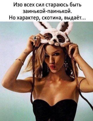 женский юмор в картинках208 женский юмор в картинках208