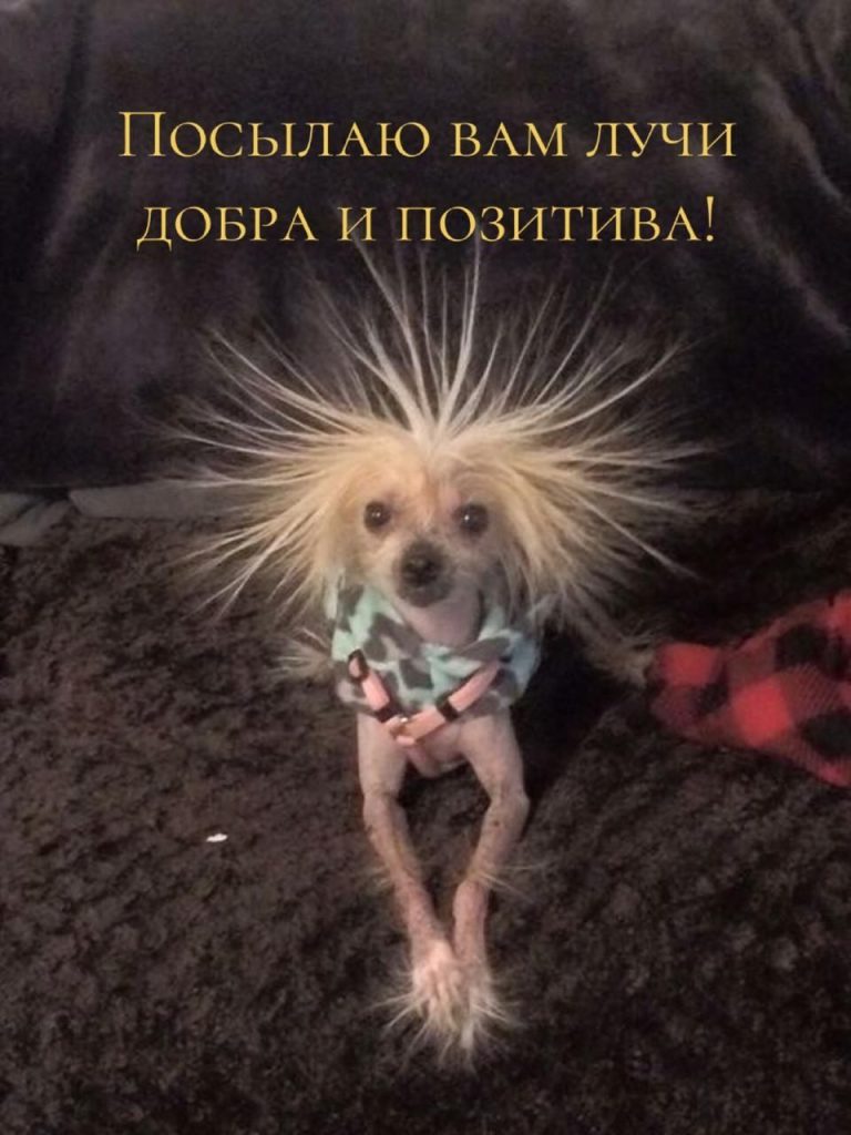 Позитивные мысли 5919 Позитивные мысли 5919