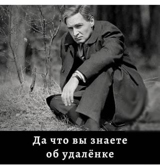 Да что вы знаете об удалёнке – АйДаПрикол Да что вы знаете об удалёнке – АйДаПрикол