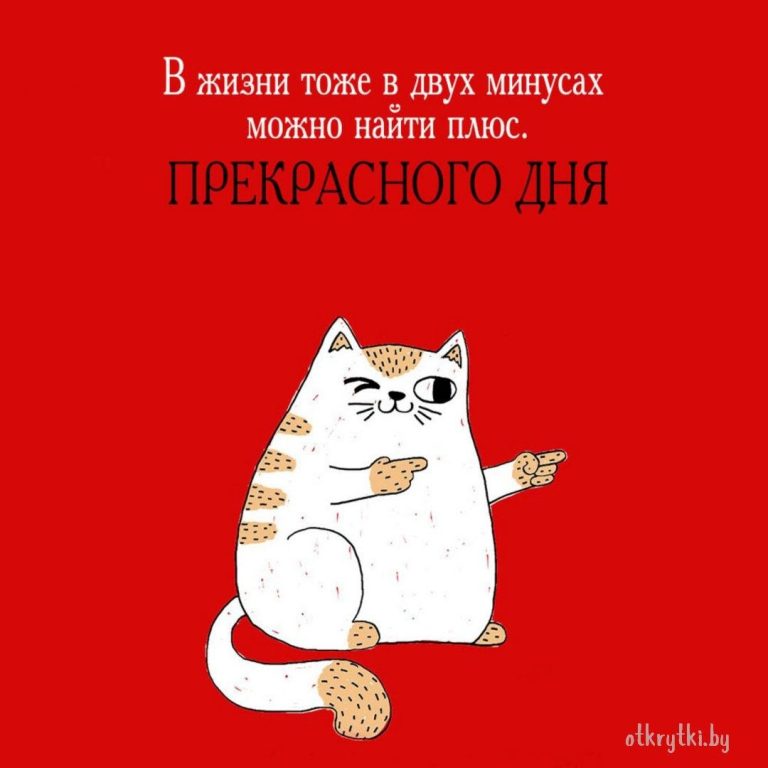 Открытки с пожеланием ПРЕКРАСНОГО ДНЯ Открытки с пожеланием ПРЕКРАСНОГО ДНЯ