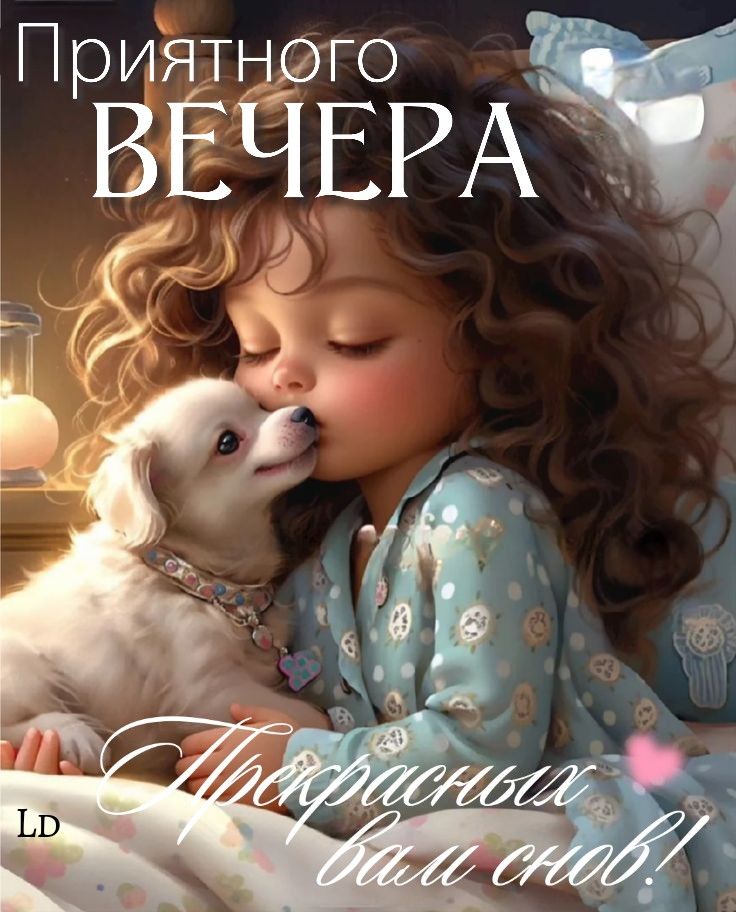 Добрый вечер Добрый вечер