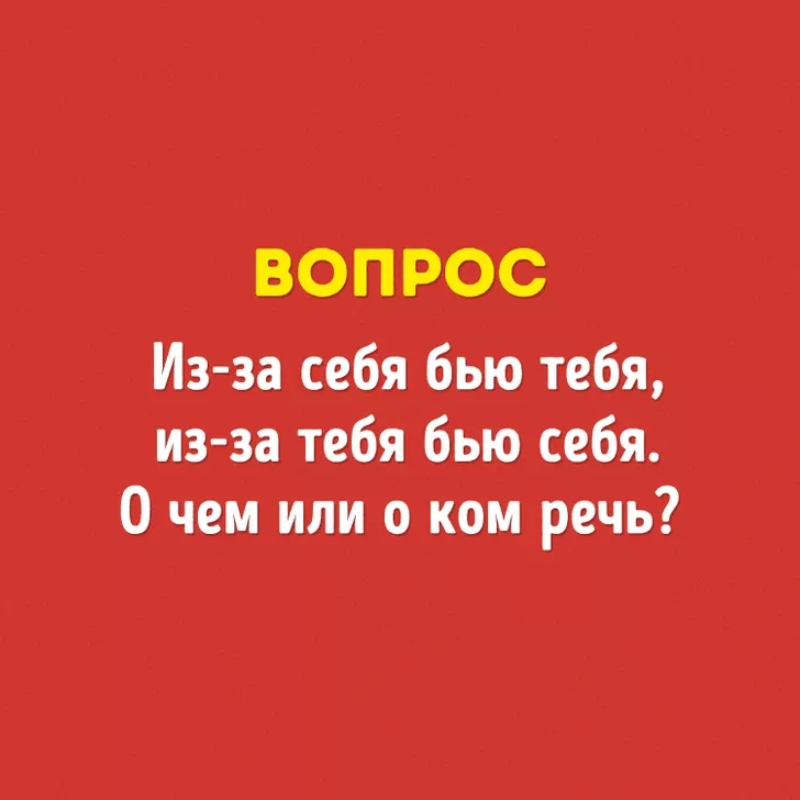 15 вопросов, на которые не смогли ответить знатоки «Что? Где? Когда?». А вы сможете? 15 вопросов, на которые не смогли ответить знатоки «Что? Где? Когда?». А вы сможете?