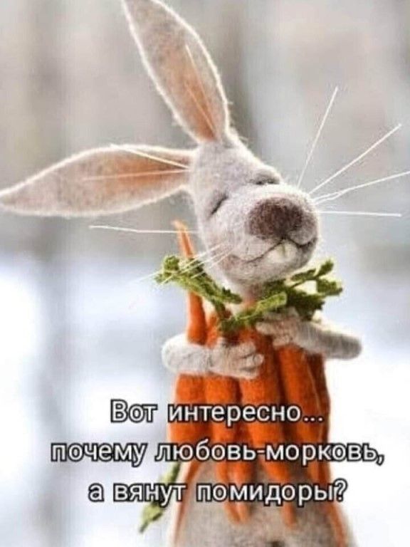 Белок.net | Группа на OK.ru | Вступай, читай, общайся в Одноклассниках! Белок.net | Группа на OK.ru | Вступай, читай, общайся в Одноклассниках!