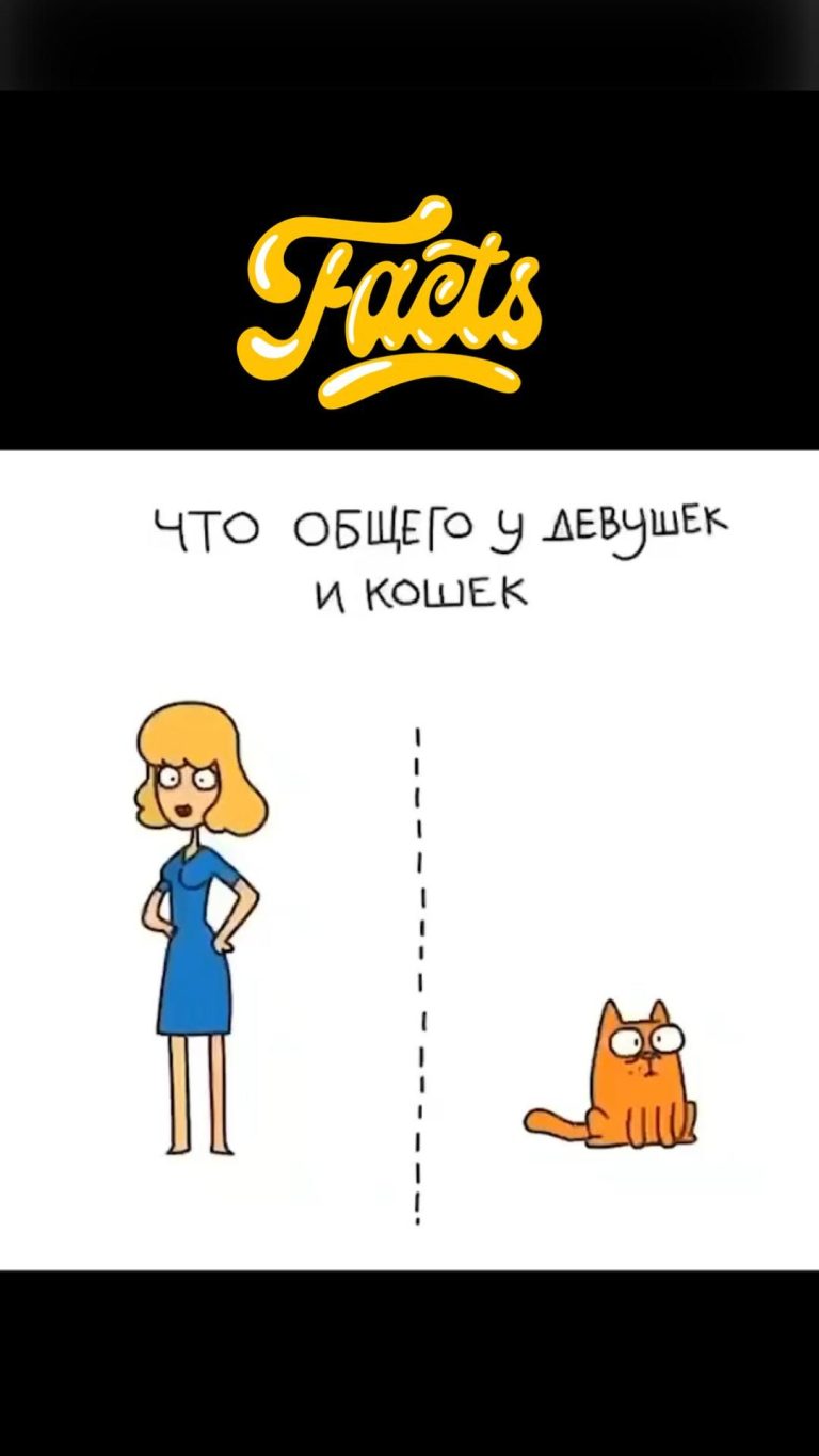 что общего между девушкой и кошкой😂 что общего между девушкой и кошкой😂