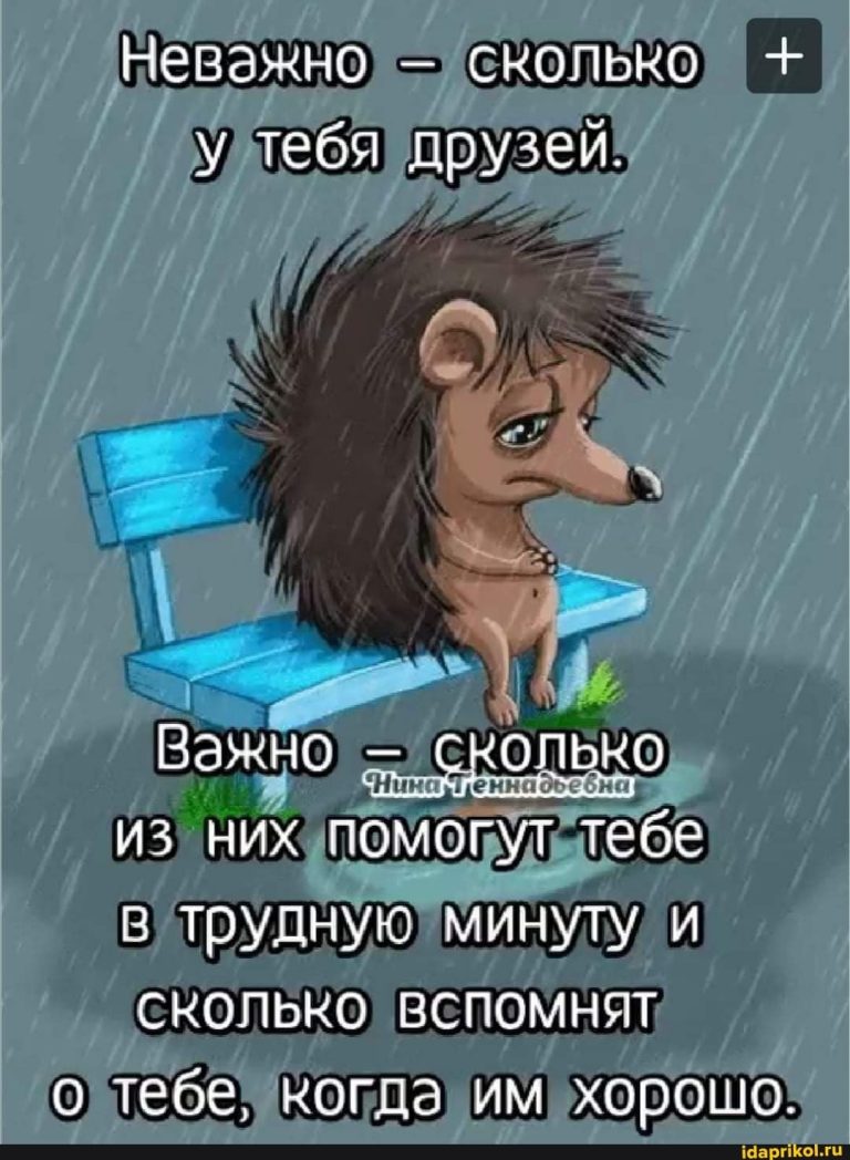 Неважно – сколько у тебя друзей’ Важно скопько из них помогут тебе в трудную минуту и сколЬко вспомнят о тебе, когда им хорошо. – АйДаПрикол