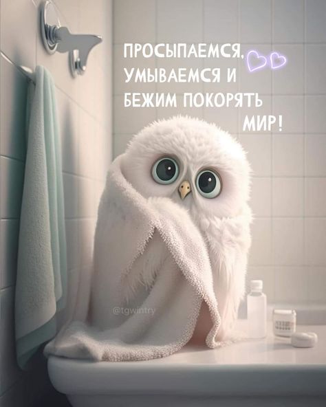 С добрым утром картинки и открытки бесплатно • Открытки Топ С добрым утром картинки и открытки бесплатно • Открытки Топ