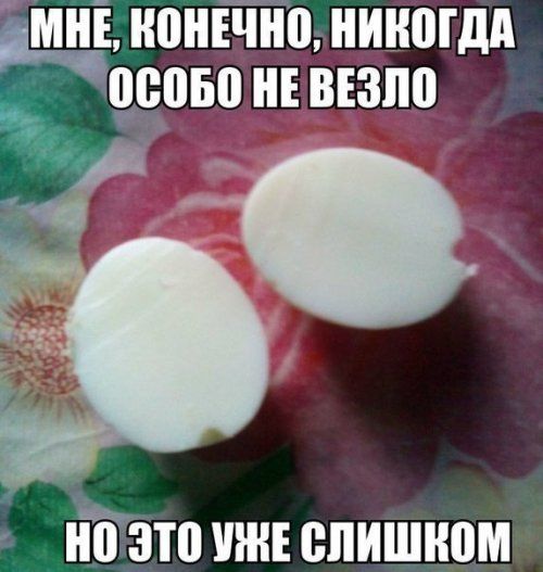Прикольные фотомемы для хорошего настроения (28 фото) Прикольные фотомемы для хорошего настроения (28 фото)