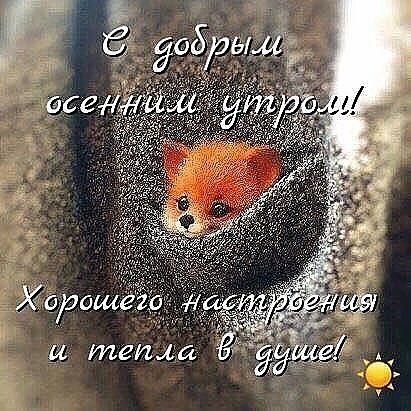 Доброе осеннее утро Доброе осеннее утро
