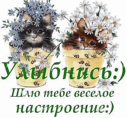 Фото 885370391900 из альбома ПОЛУНОЧНИКАМ… (из интернета). Смотрите в группе ДАРИМ НАСТРОЕНИЕ! в ОК Фото 885370391900 из альбома ПОЛУНОЧНИКАМ… (из интернета). Смотрите в группе ДАРИМ НАСТРОЕНИЕ! в ОК