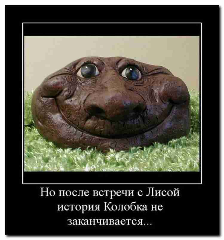Подборка прикольных фото с веселыми надписями – Ржы! Подборка прикольных фото с веселыми надписями – Ржы!