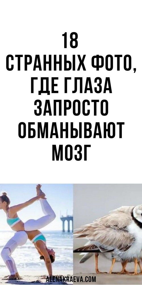 18 странных фото, где глаза запросто обманывают мозг, юмор | 1beauty 18 странных фото, где глаза запросто обманывают мозг, юмор | 1beauty