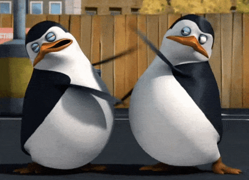 Penguins Pingki Penguin GIF – Penguins Penguin Pingki penguin – discover and share GIFs Penguins Pingki Penguin GIF – Penguins Penguin Pingki penguin – discover and share GIFs