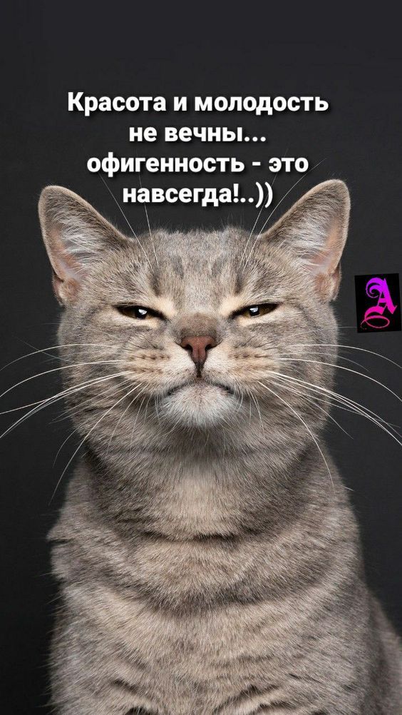 юмор очень смешно 1051 юмор очень смешно 1051