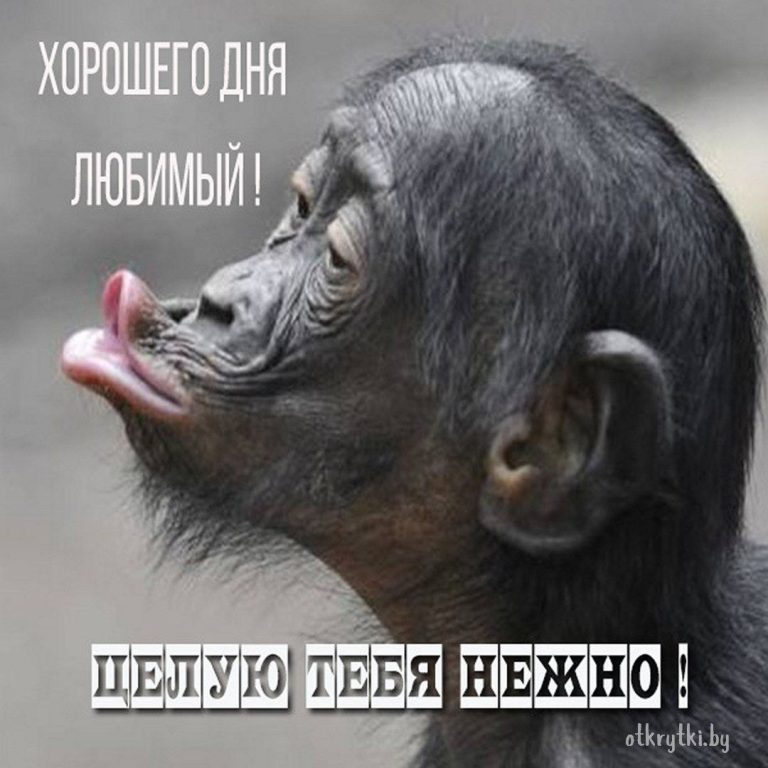 Скайнет в 1win тут😂 Красивые открытки и прик🫠жми Скайнет в 1win тут😂 Красивые открытки и прик🫠жми